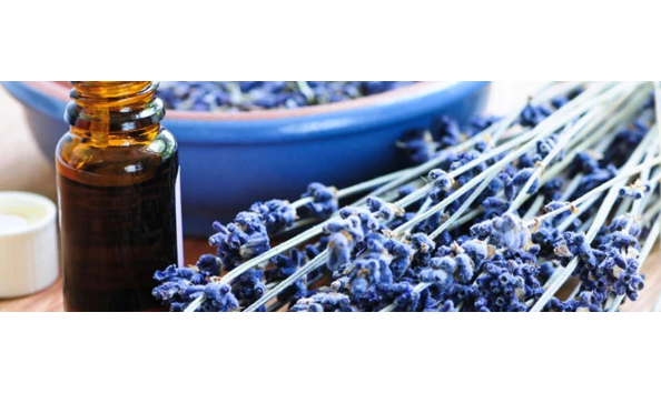 Big image dr. sarah3