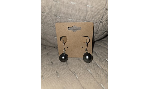 Big image 20250204 163929