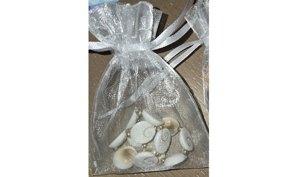 Big image 20250204 081138   copy