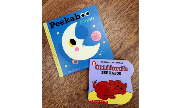 Big image 20250205 132936