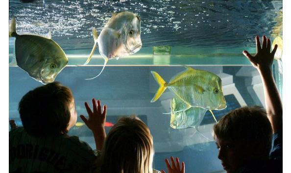 Big image big image e3e84971 3048 64e8 405bf66871549671