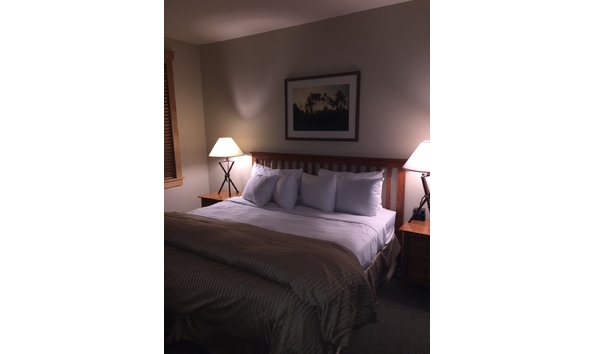 Big image paulsonmammoth7