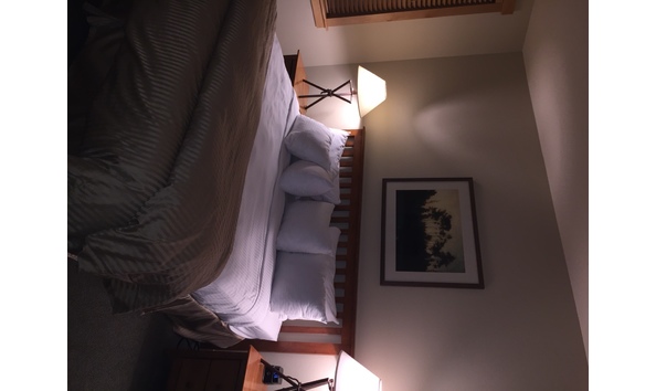 Big image paulsonmammoth7