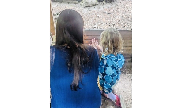 Big image 203954e0 d6df 4b9d 9a2d 9d30f0168496 4 5005 c