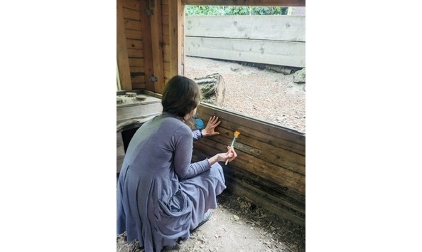 Big image f9cc70c2 7a17 4e84 9f4f 9486ccd55af3 4 5005 c