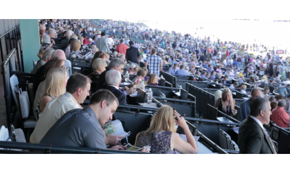 Big image efnqmmjbauilvvywrllgqlneeirbhn2seqmr46z1csi 993x461