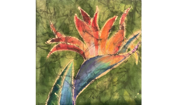 Big image lynda ohotnicky