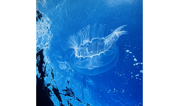 Big image randy prank