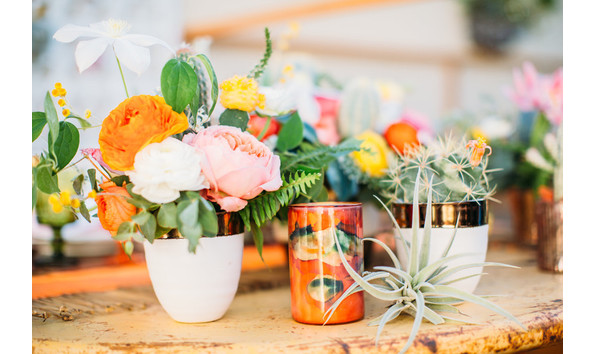 Big image tbe 2018   wildflower photo