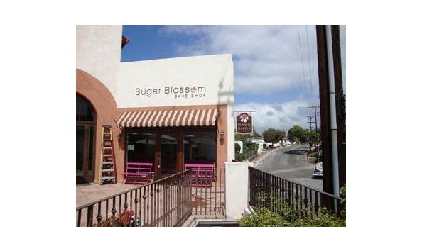 Big image tbe 2018   sugar blossom