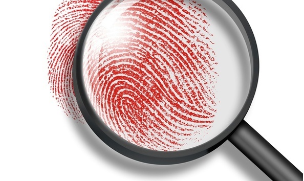 Big image tbe 2018   murder 4