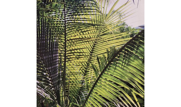 Big image elaine gurian