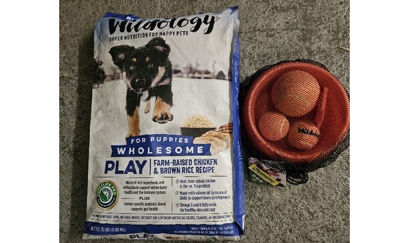 Big image 20250217 184139