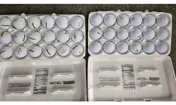 Big image 20250217 181904