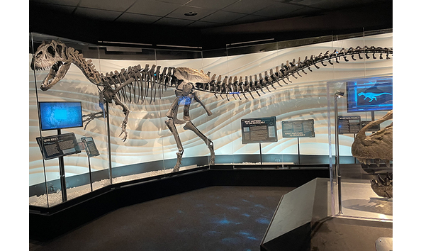 Big image 051622 creation1