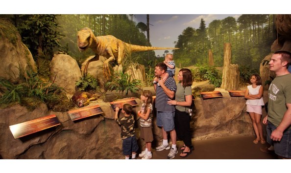 Big image 101130 creationmuseum hmed817p