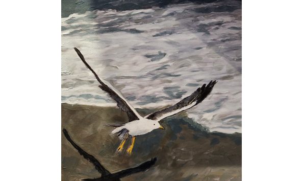 Big image debbie may