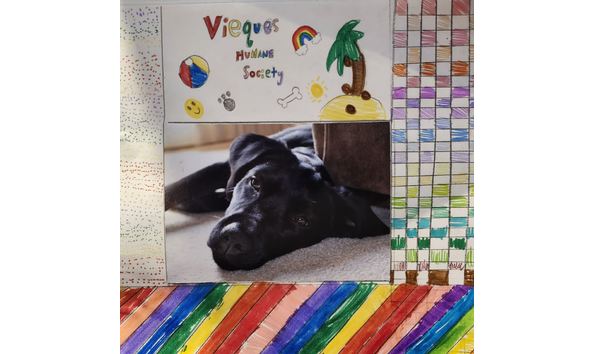 Big image parker west