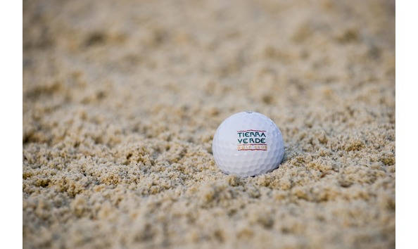 Big image 311126332 575075644624294 8852070132354873117 n  1 