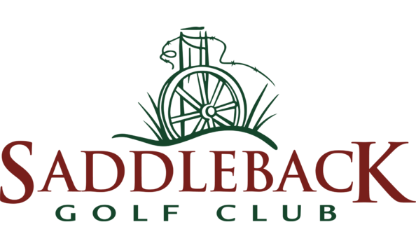 Big image upscaled color 2048x959