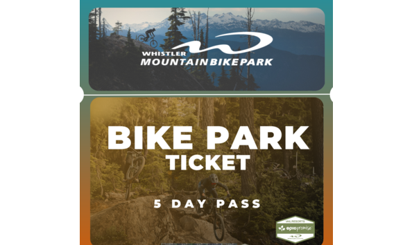 Big image screenshot 2025 02 27 150803