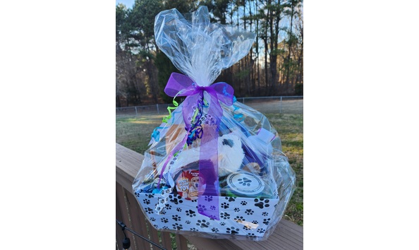 Big image 20250228 164542