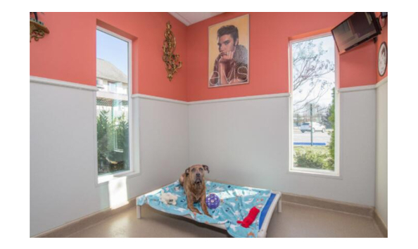 Big image holidaybarn123