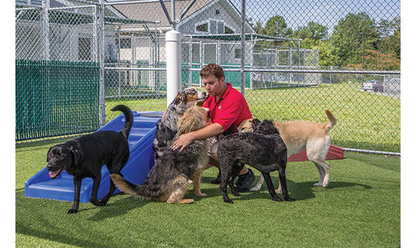 Big image holidaybarnqqq