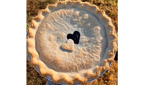 Big image bluebird pie 1