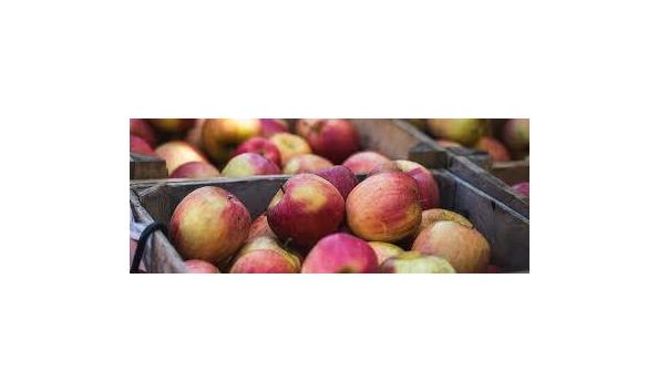 Big image giles apples