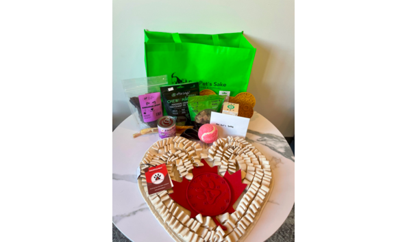 Big image screenshot 2025 03 03 155023