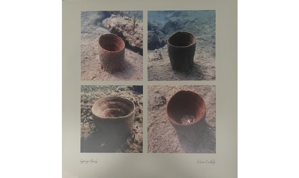 Big image eileen civitillo