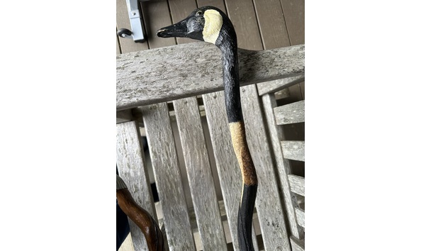 Big image canada goose walkig stick 32