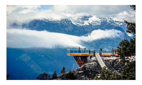 Big image download  20 