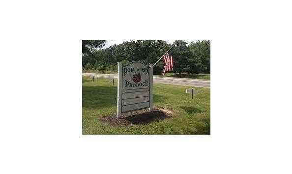 Big image polelogodownload  2 