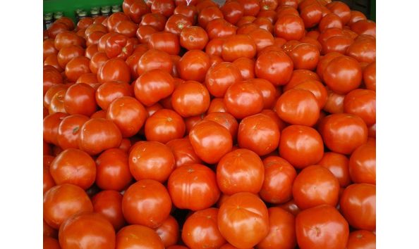 Big image pole6025497799 f885647dc6 b