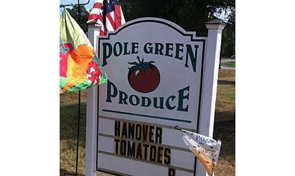 Big image polegreen64710057 656712021468412 8210982957389709312 n