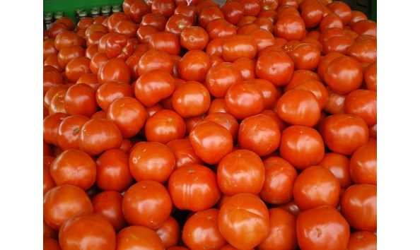 Big image mini magick20250306 3150 d93woj