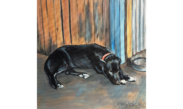 Big image jennifer schroeder