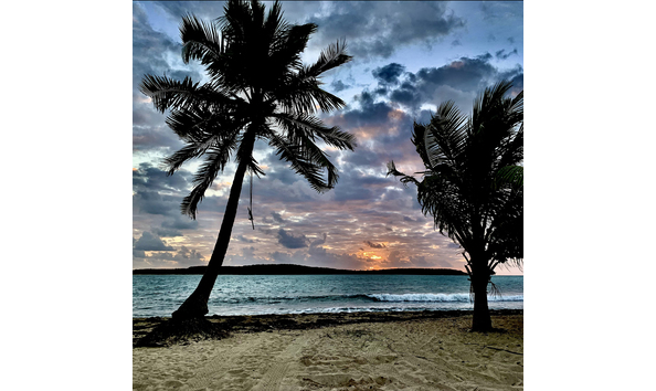 Big image linda quinn