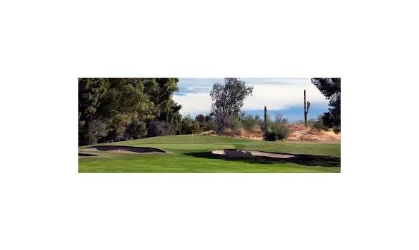 Big image download  1 