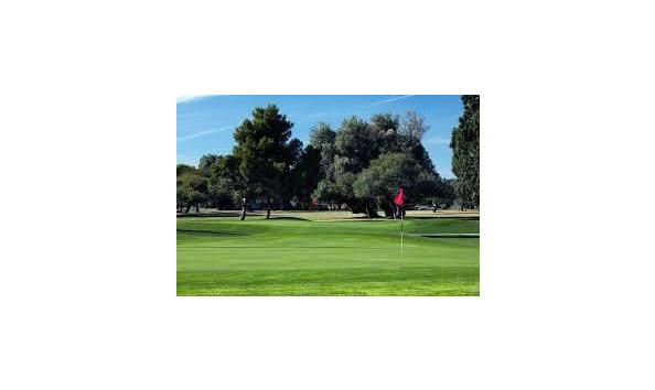 Big image download  2 