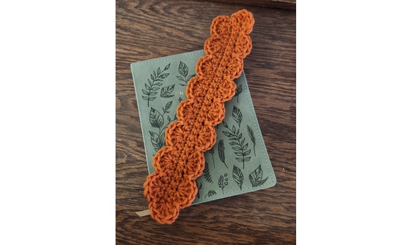 Big image 20250311 080245