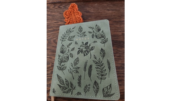 Big image 20250311 080338