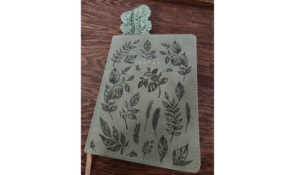 Big image 20250311 080350