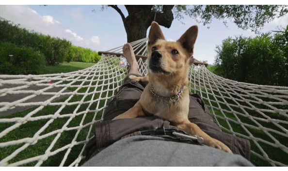 Big image tbe 2018   lap of luxury