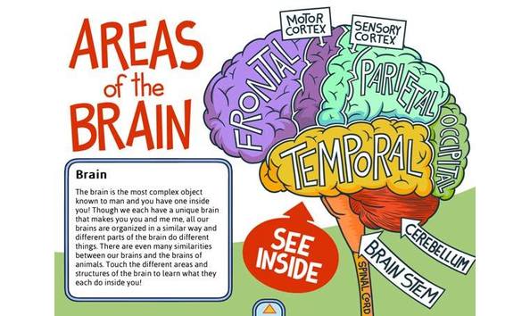 Big image f385b4fec823b6931cec9dedf889e0eb