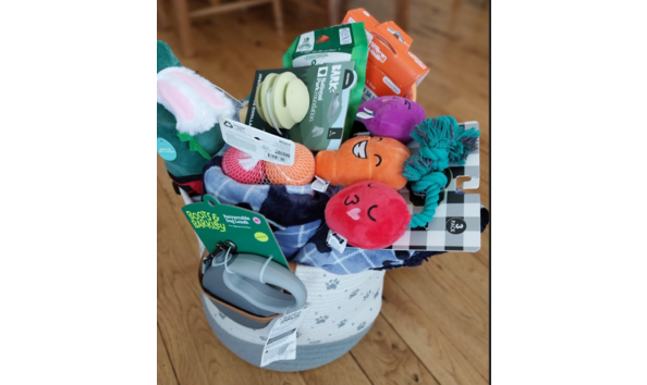 Big image fwd molly speer gmail com gmail 03 13 2025 06 50 am