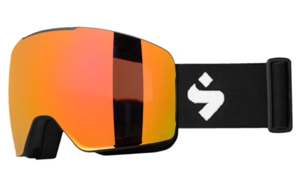 Big image sa images google docs 03 13 2025 11 16 am