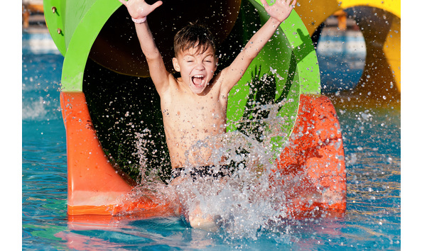 Big image noah s ark